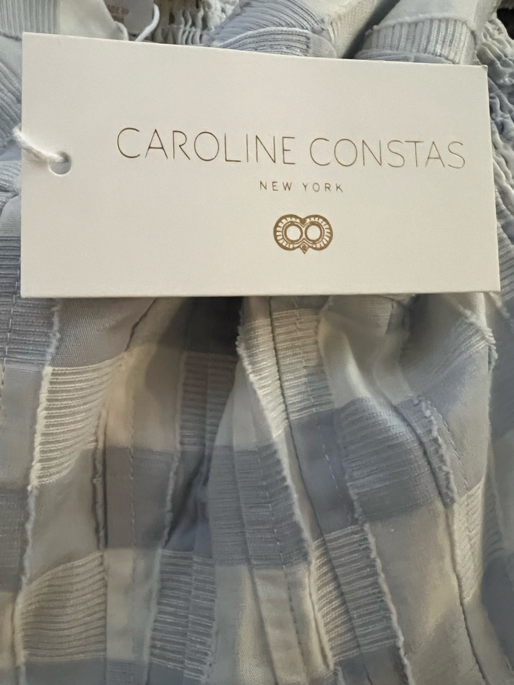 Caroline Constas Blue and White Gingham Sundress - Picture 6 of 8